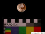 L_V22d6565 A16q629.2 T924 dM sh f204